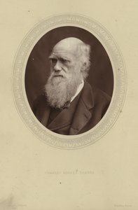 Portret van Charles Darwin door Lock and Whitfield